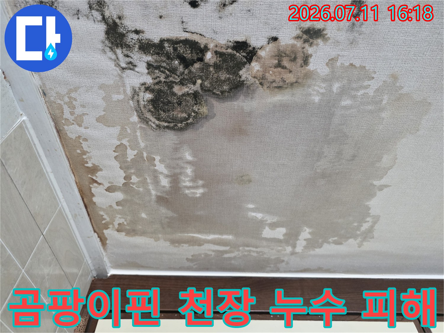 검은 곰팡이가 번진 아파트 천장과 누수로 인한 변색 부위
