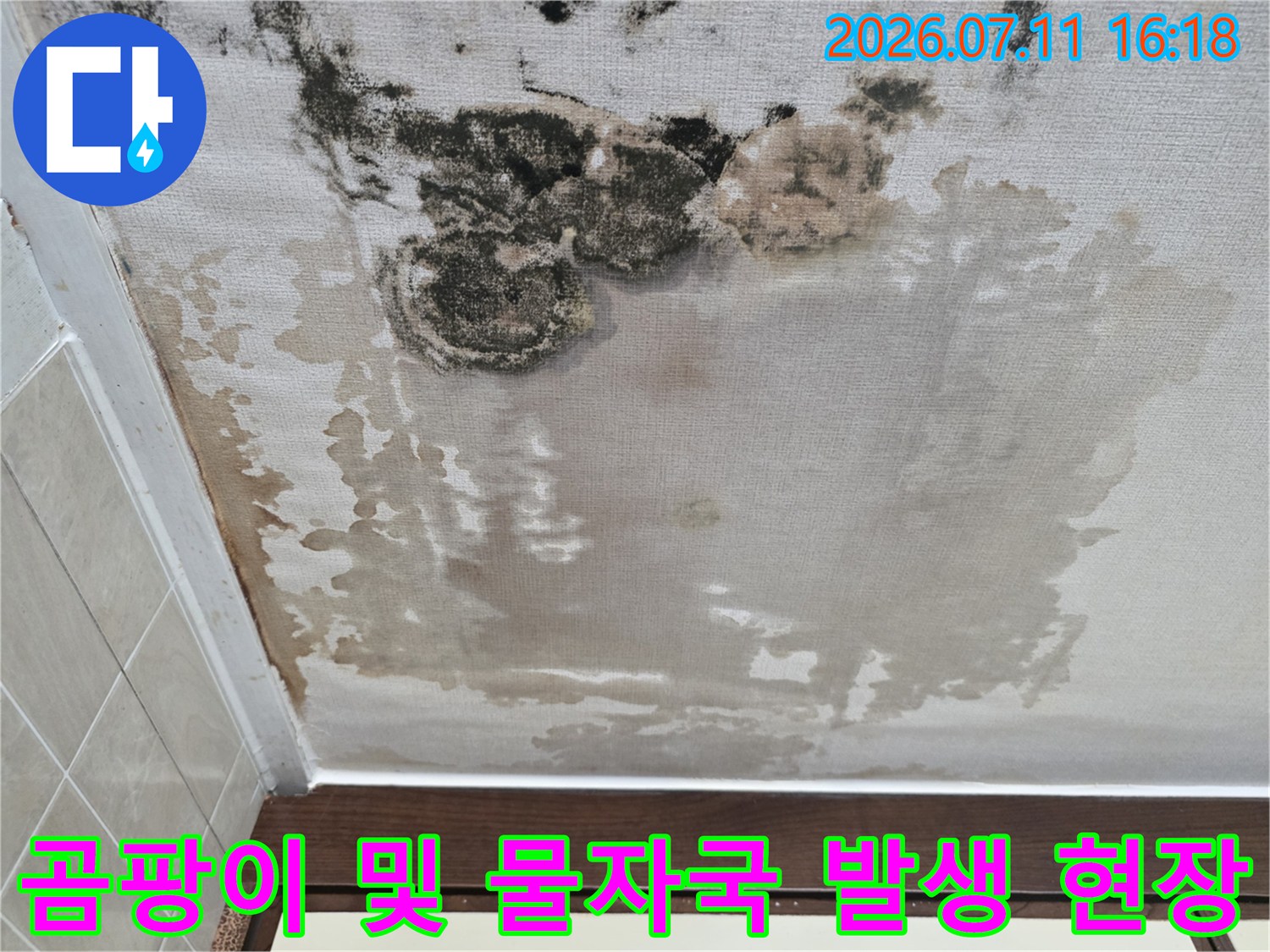 누수로 인해 오염된 천장 마감재와 벽면 경계부 모습