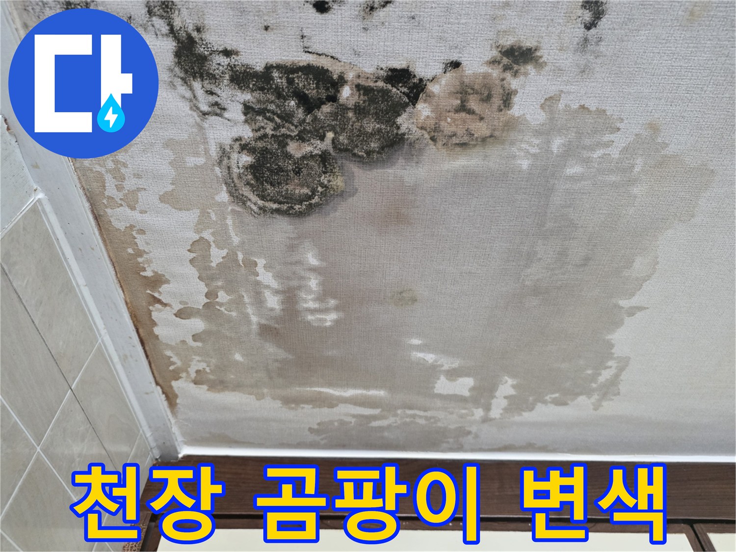 아파트-천장-벽지-곰팡이-및-변색-상태
