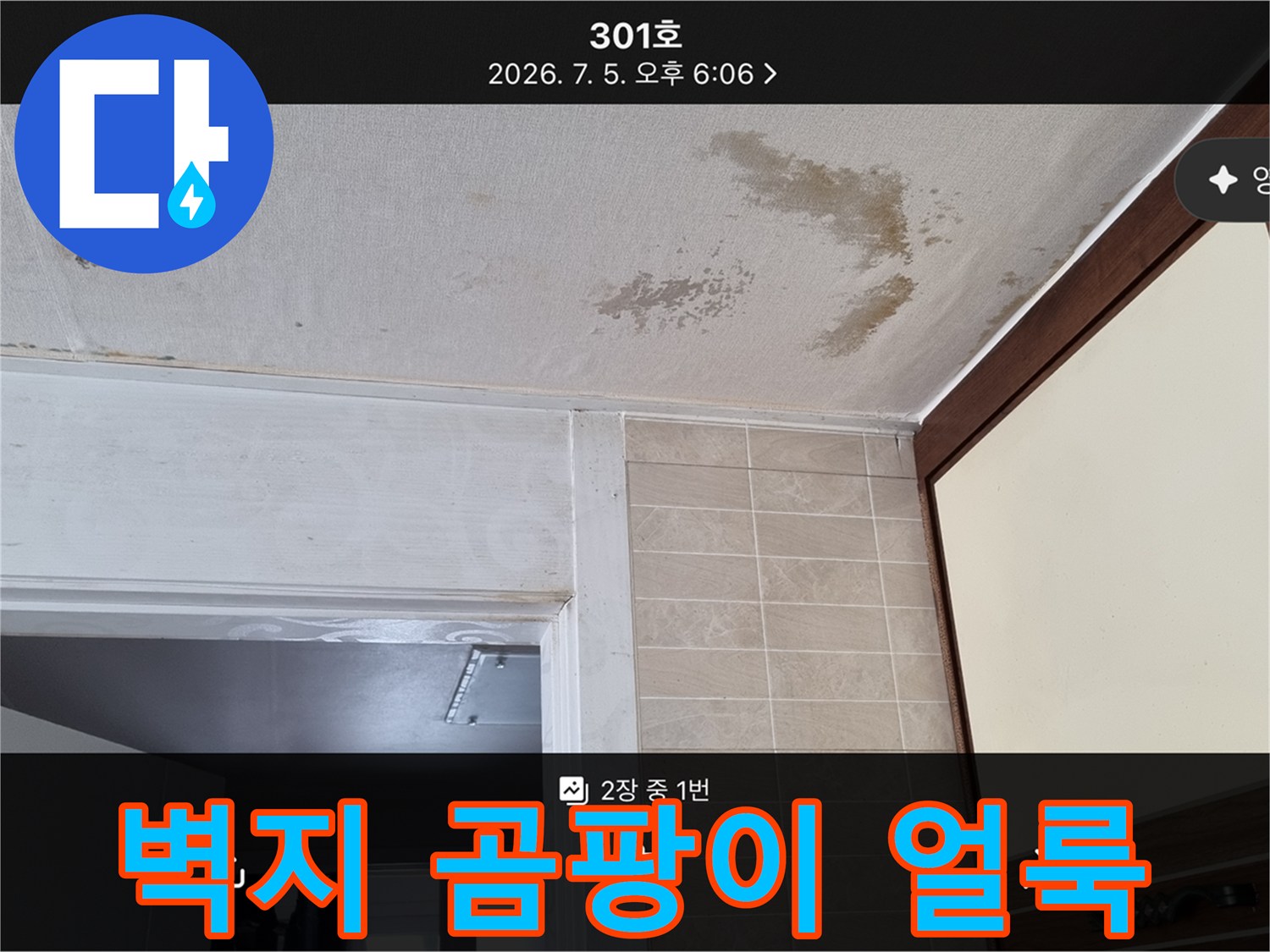 천장 벽지 곳곳에 나타난 누수 흔적과 곰팡이