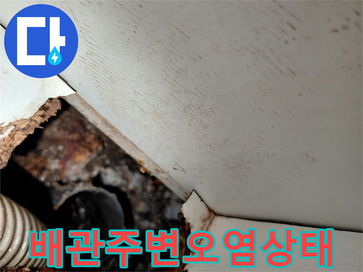 의정부-빌라-싱크대-하단-배관-역류-및-오염-현장