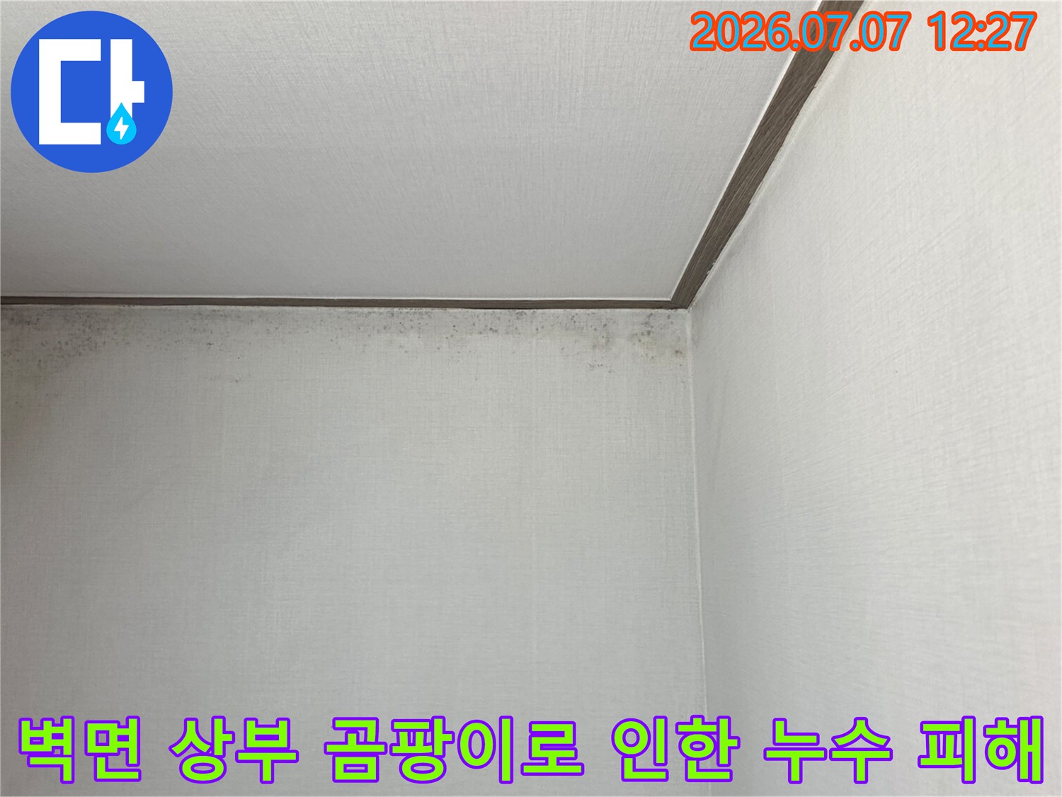 천장과 벽의 경계 부위에 집중된 누수로 인한 변색 및 곰팡이 상태