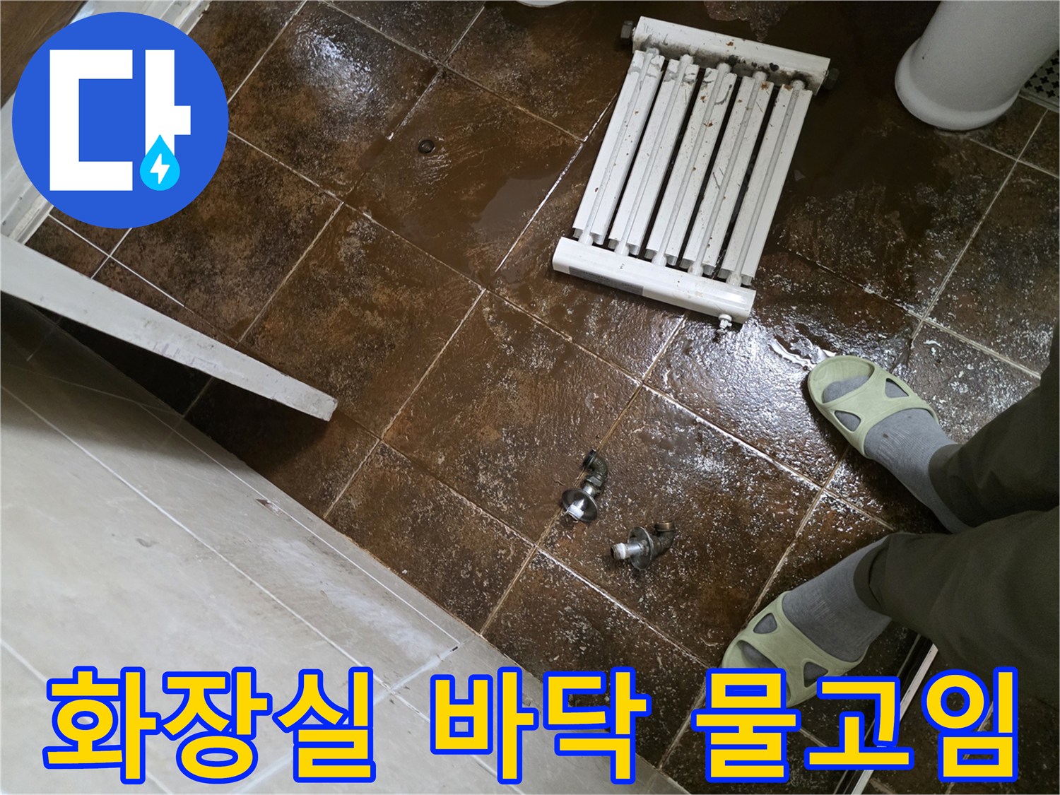 분당-화장실-바닥-타일-사이로-물이-고여있는-상태