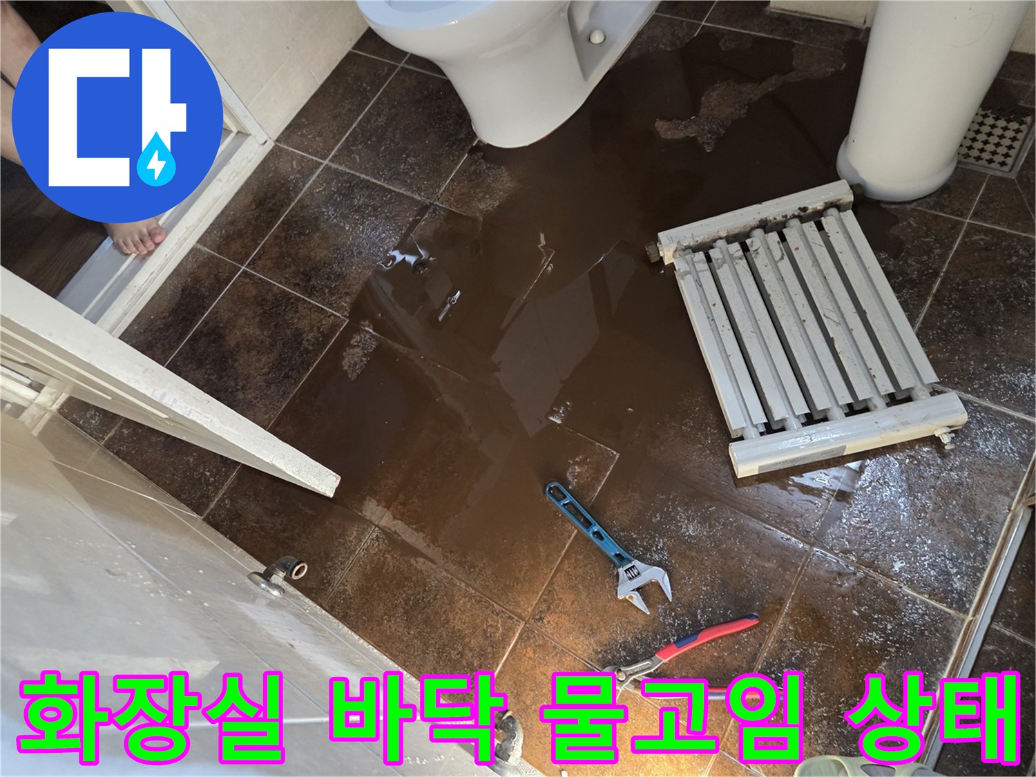 화장실-타일-사이로-물이-고여있는-현장-모습