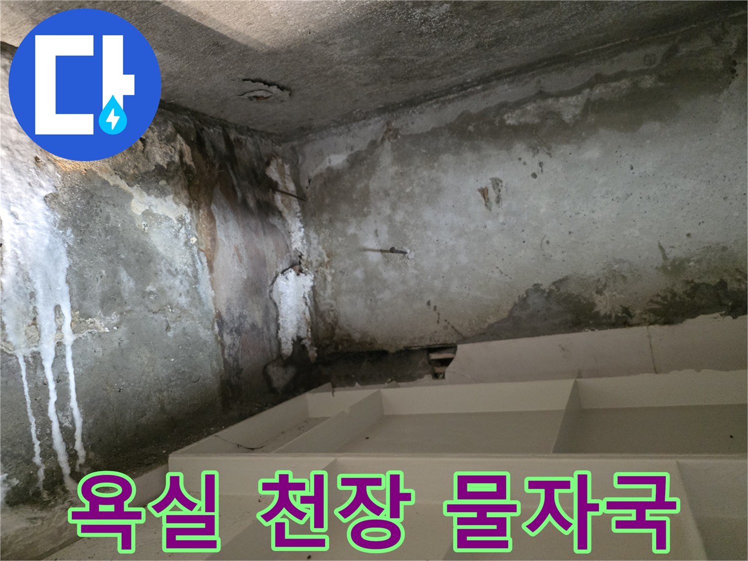 인천 연수구 화장실-천장 벽면의 누수 흔적과 곰팡이 상태