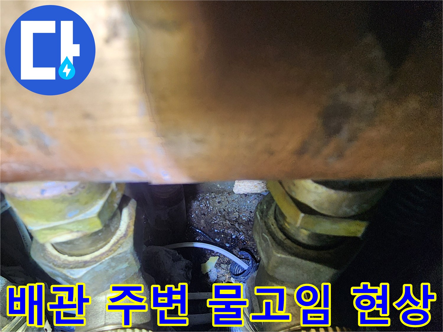 싱크대-하부-배관-주변-습기-및-오염물-발견