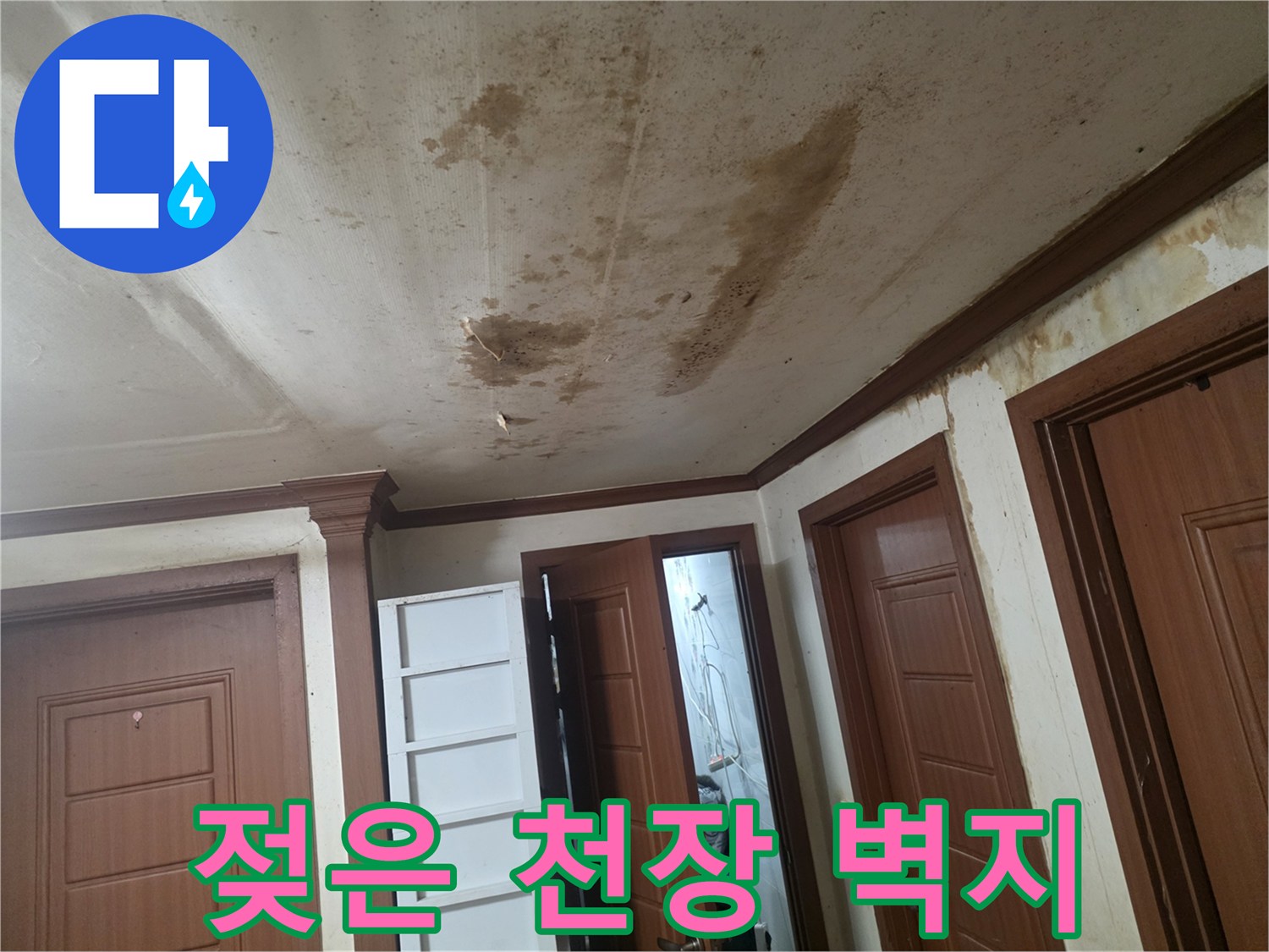 오정구 현장-천장 벽지 젖음 및 변색 상태