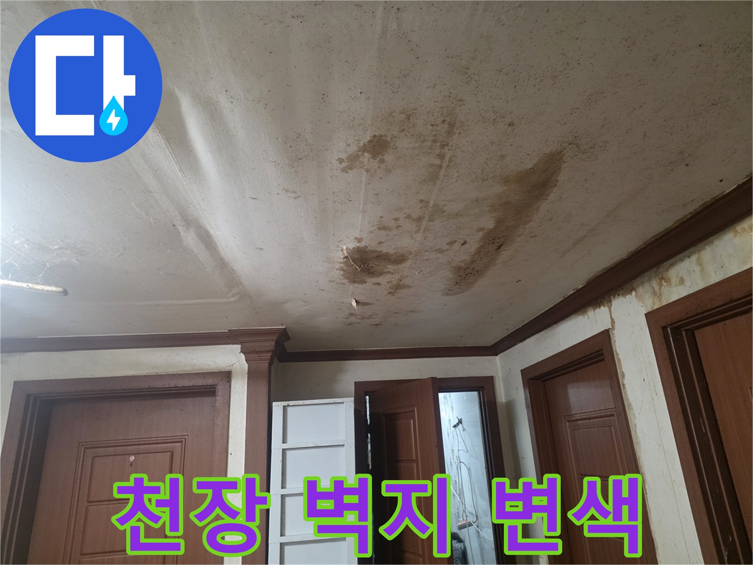 천장 벽지가 젖어 어둡게 변한 모습