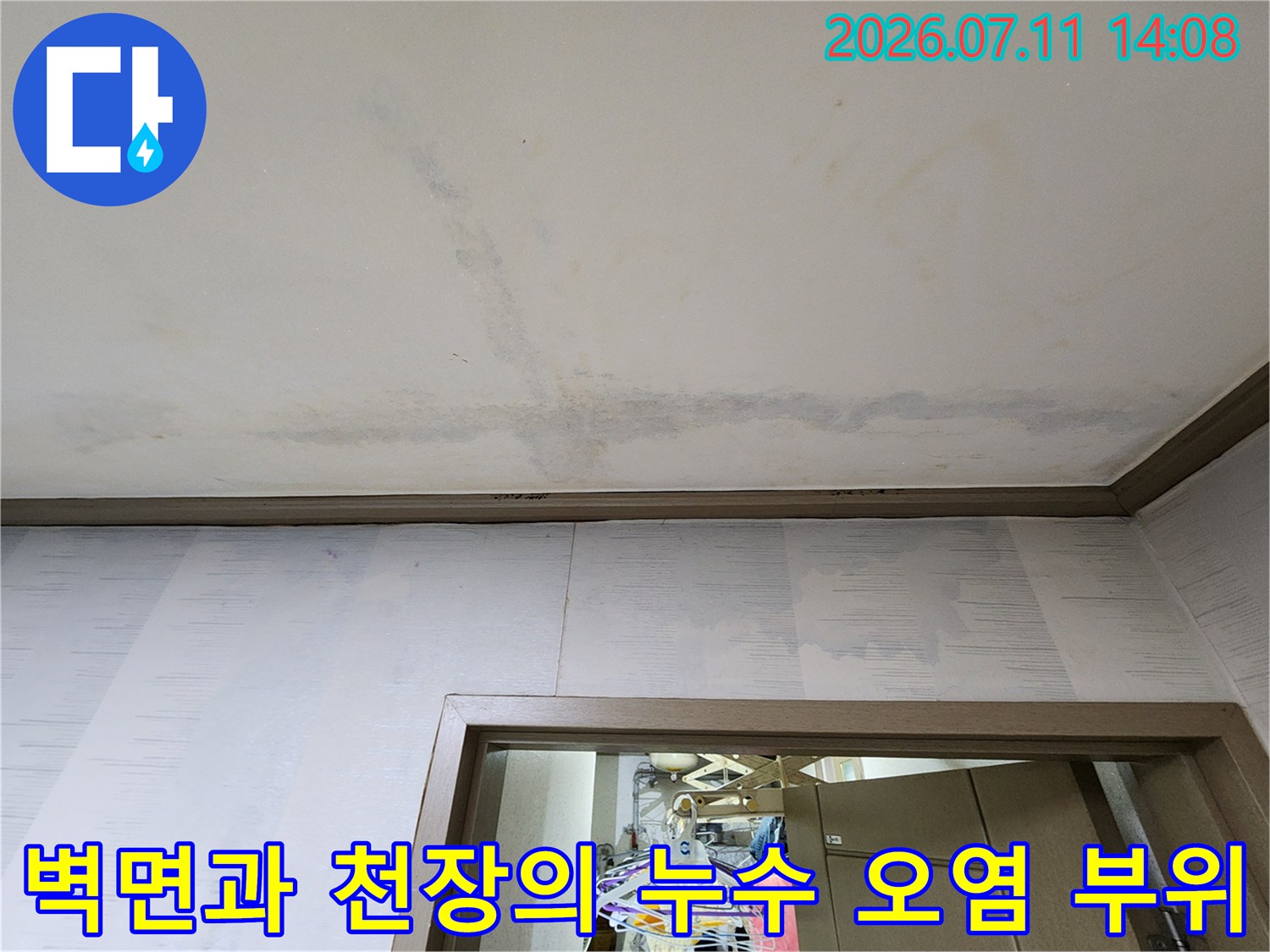 벽지 위로 번진 회색 물자국과 곰팡이 발생 현황
