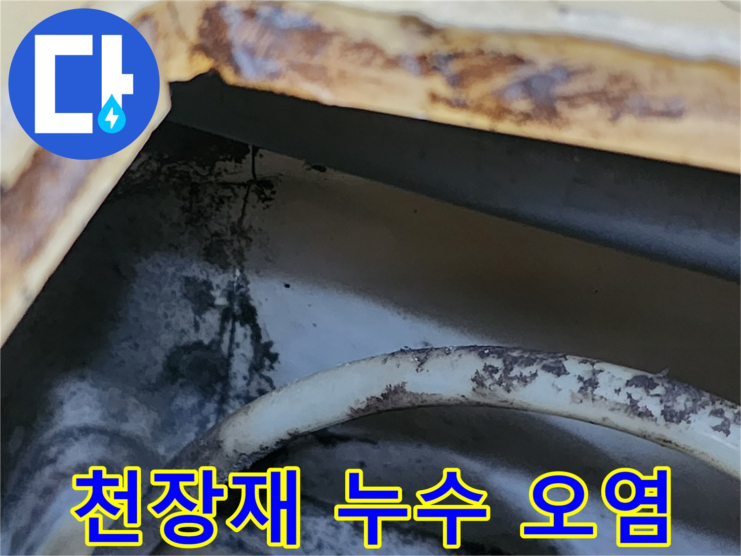 화장실 천장 패널 사이의 갈색 물때와 얼룩