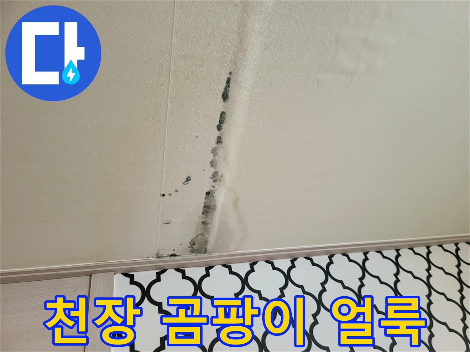 빌라 거실 천장의 곰팡이와 물자국 현상
