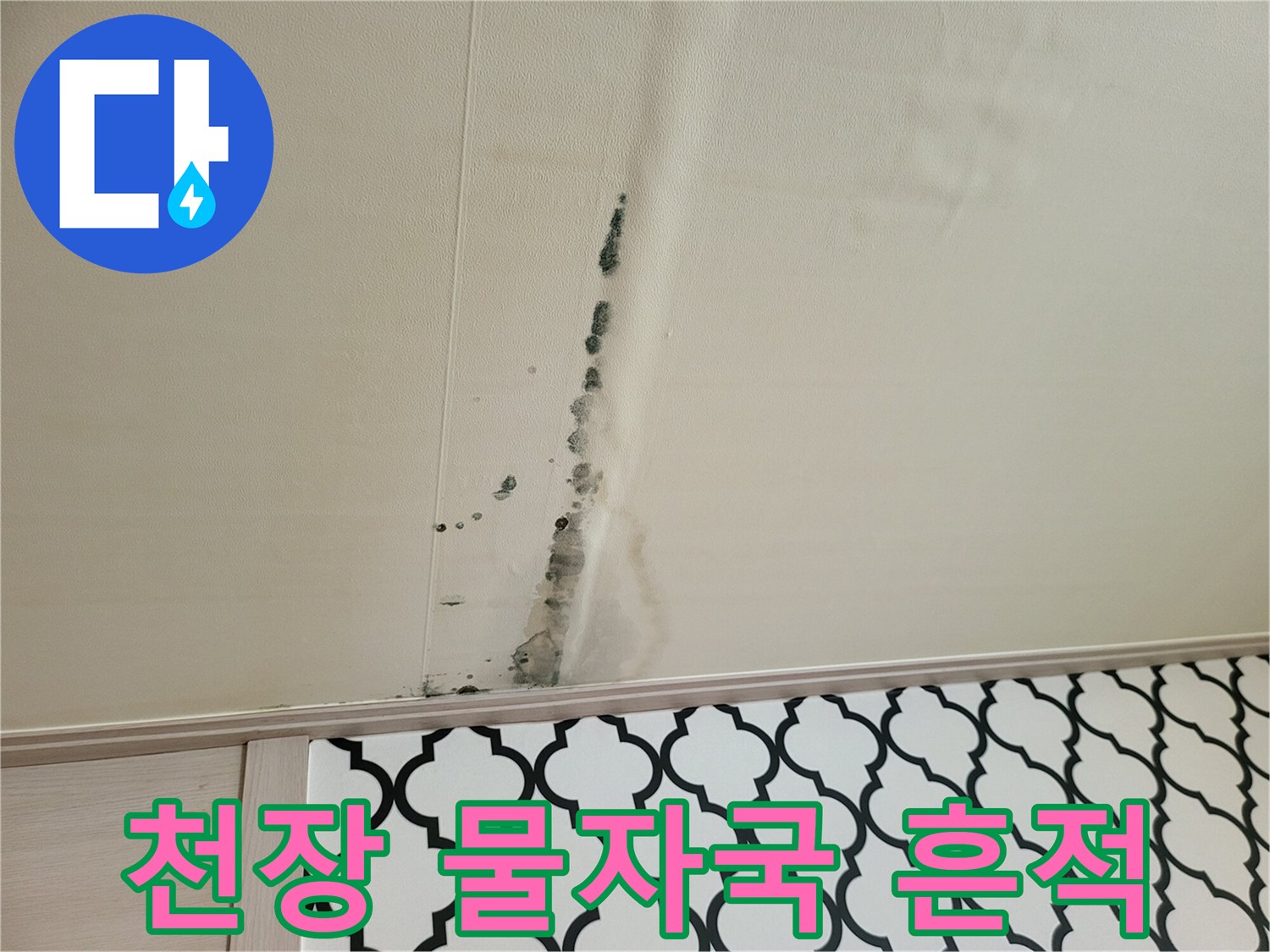 천장 벽지를 따라 길게 형성된 누수 자국과 곰팡이