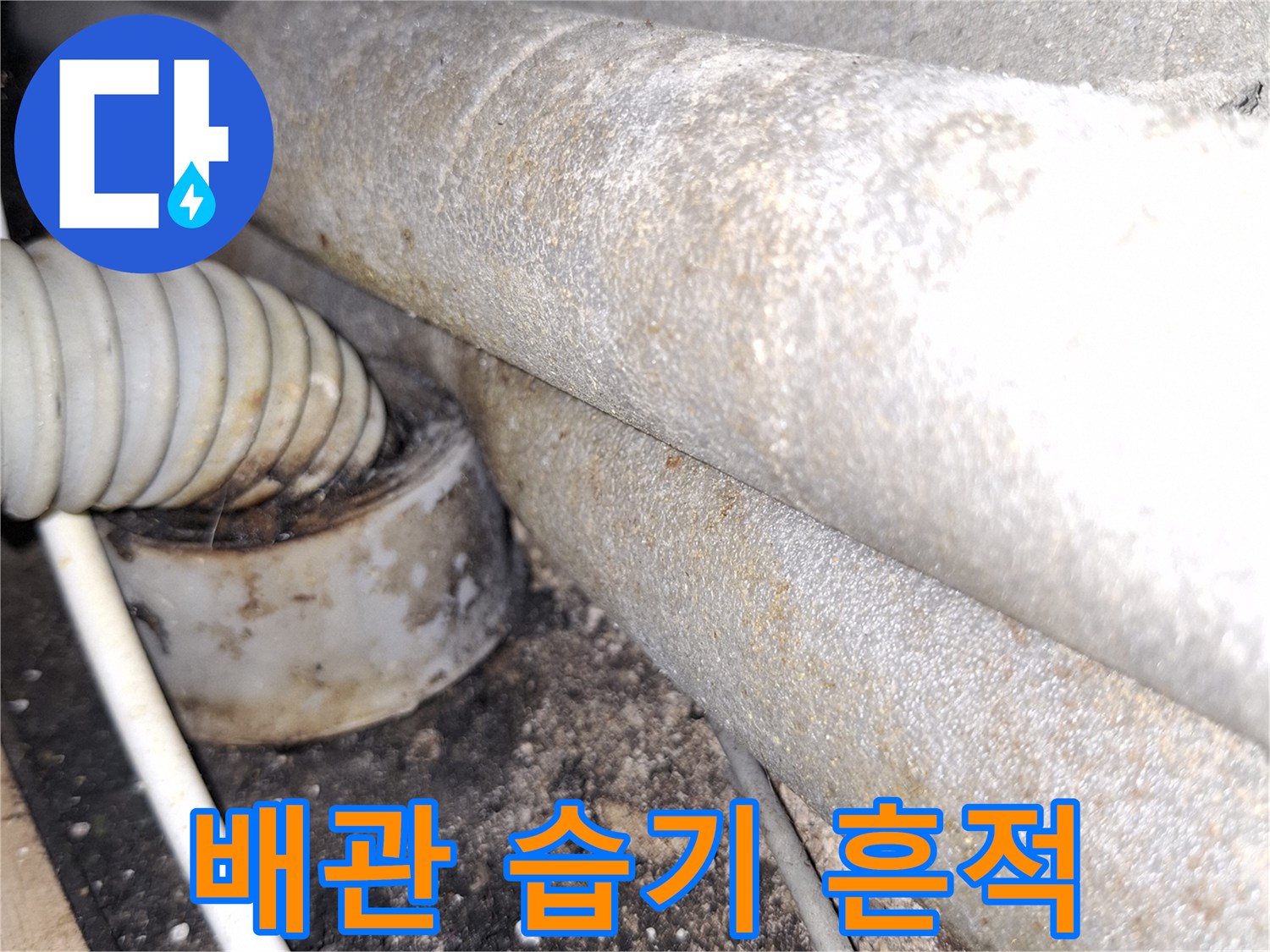 천장-배관-주변의-습기와-오염된-배관