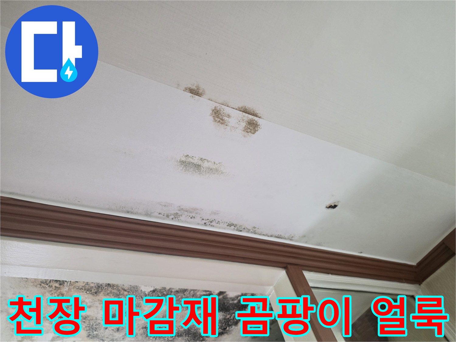 누수로 인해 변색되고 곰팡이가 발생한 천장 마감면