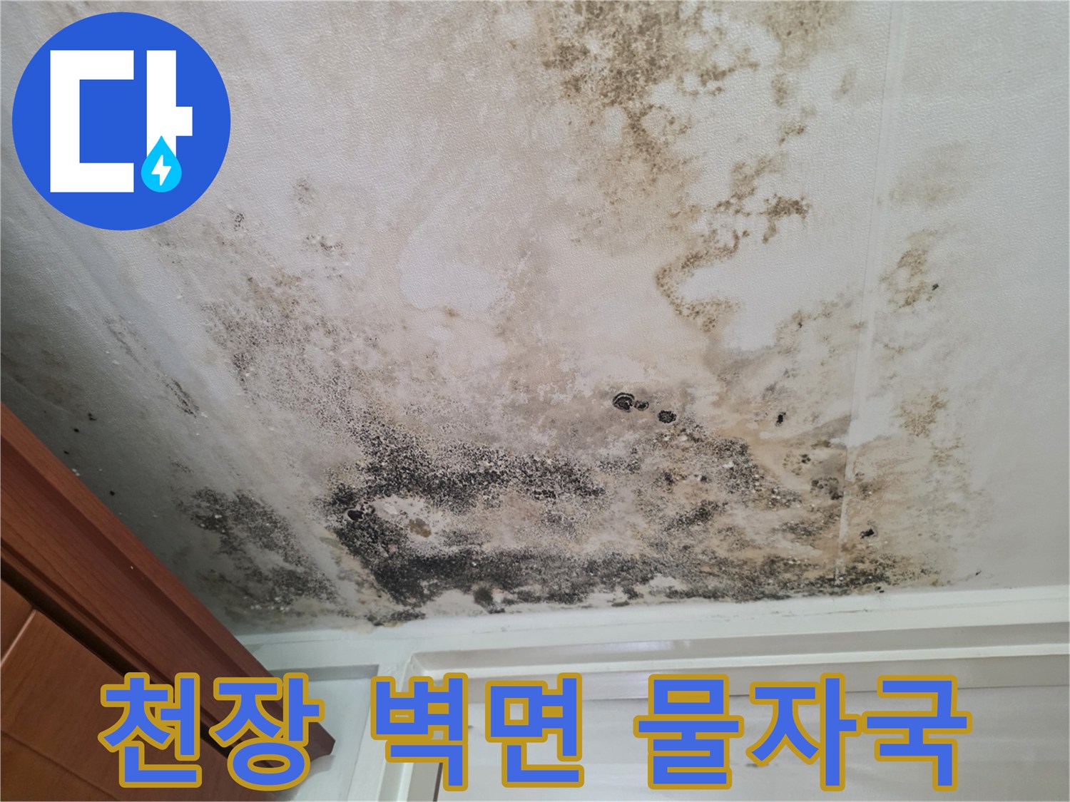 천장 마감재에 나타난 심한 변색과 곰팡이 오염 부위