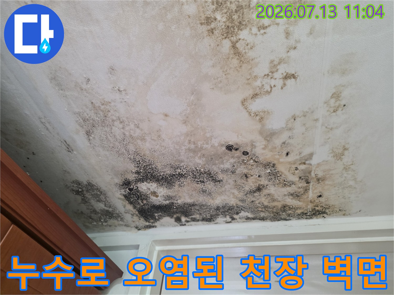 천장 마감재에 스며든 누수 흔적과 곰팡이 발생 부위