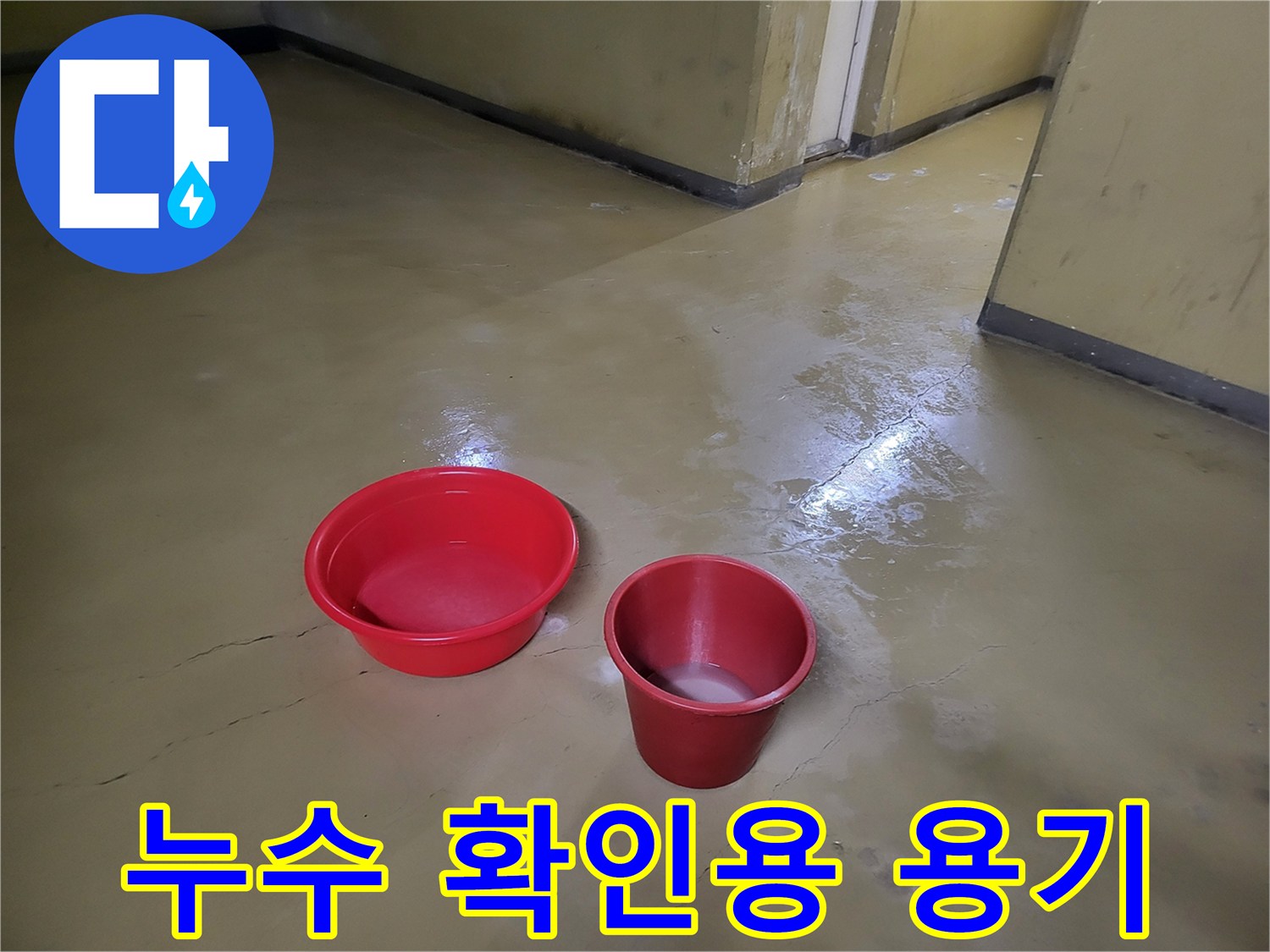 물고임을 방지하기 위해 배치된 빨간색 대야와 컵