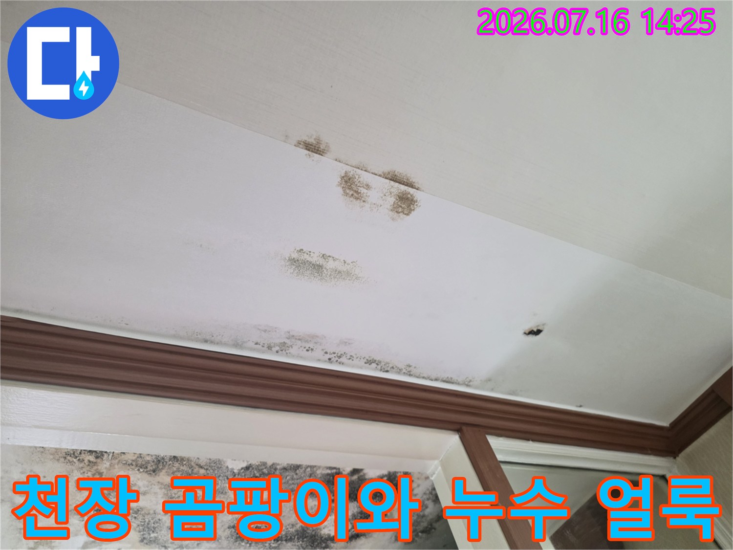 윗층 배관 문제로 인해 발생한 천장 누수 흔적과 곰팡이 오염 부위