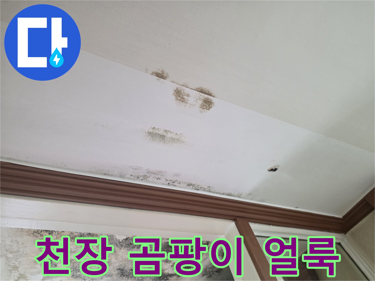 천장 벽면에 발생한 검은색 곰팡이와 물 얼룩 사진