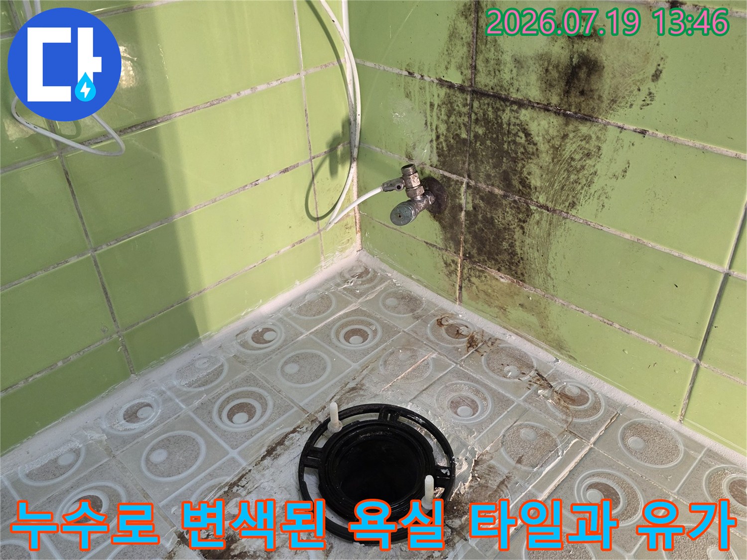 검은색 하수구 유가와 그 주변으로 습기가 배어 나와 변색된 연녹색 타일 벽면