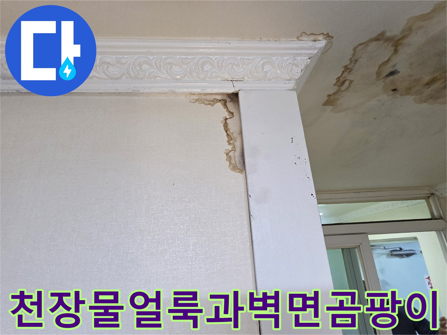 아랫집-천장-부위의-심한-물자국과-벽면-곰팡이 상태