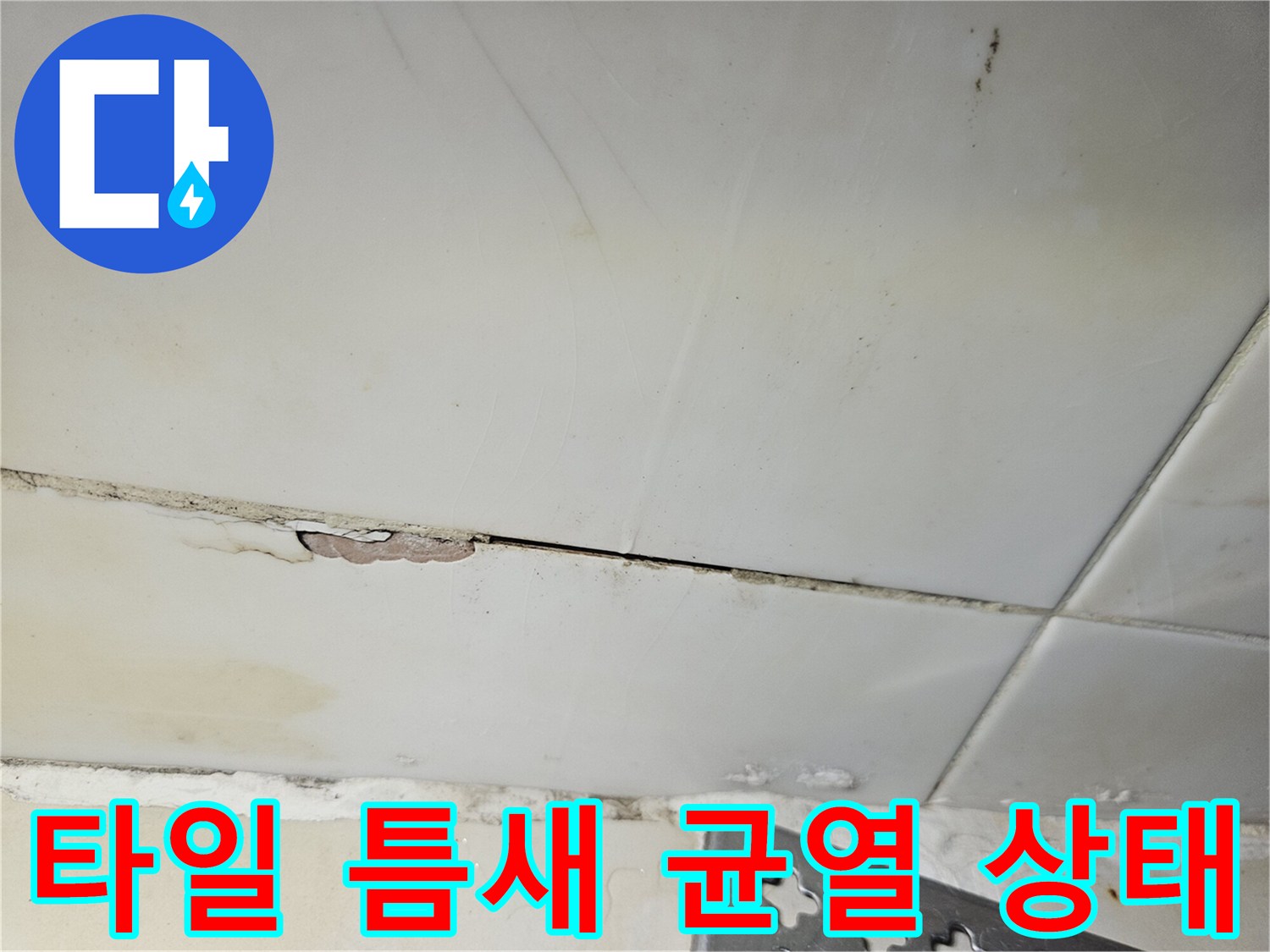 욕실 벽면 타일-줄눈 부위의 탈락과 습기 노출