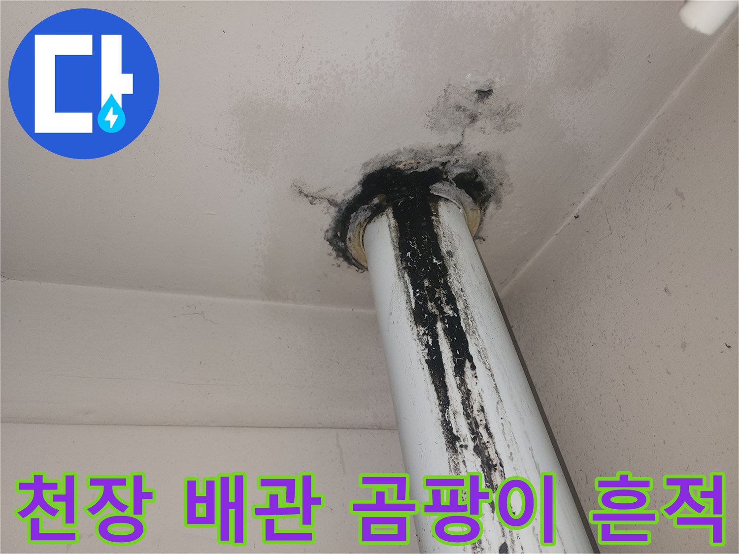 배관 주변의 검은색 곰팡이 오염 부위