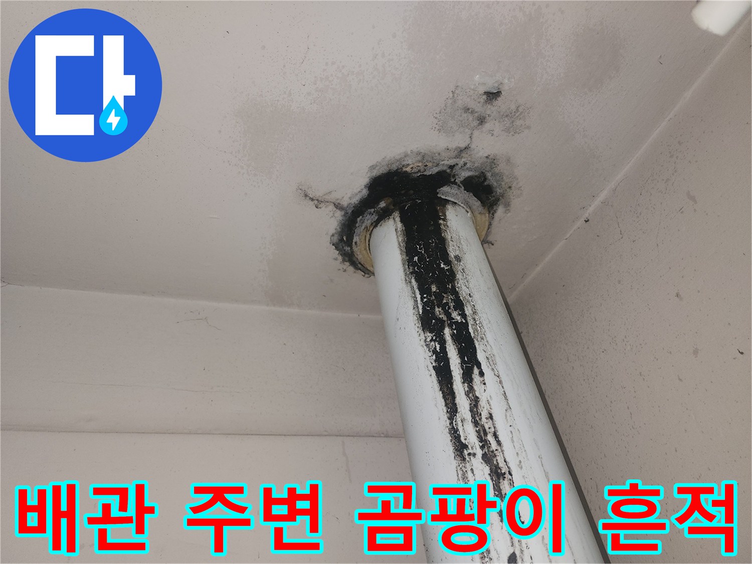 수직 배관 접합부-천장 곰팡이 발생 상황