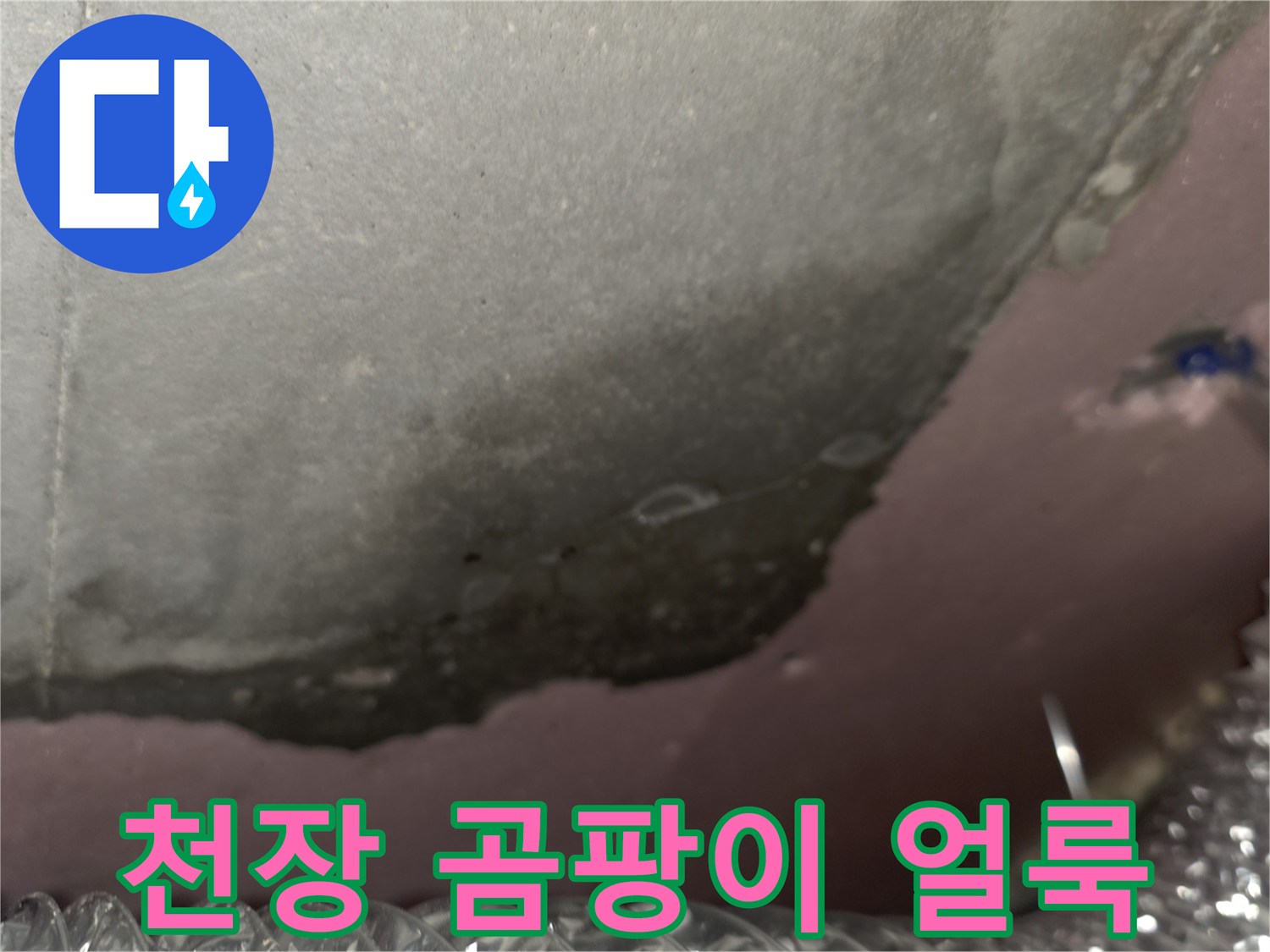 천장 내부 슬라브-물기로 인한 곰팡이와 얼룩 발생 부위
