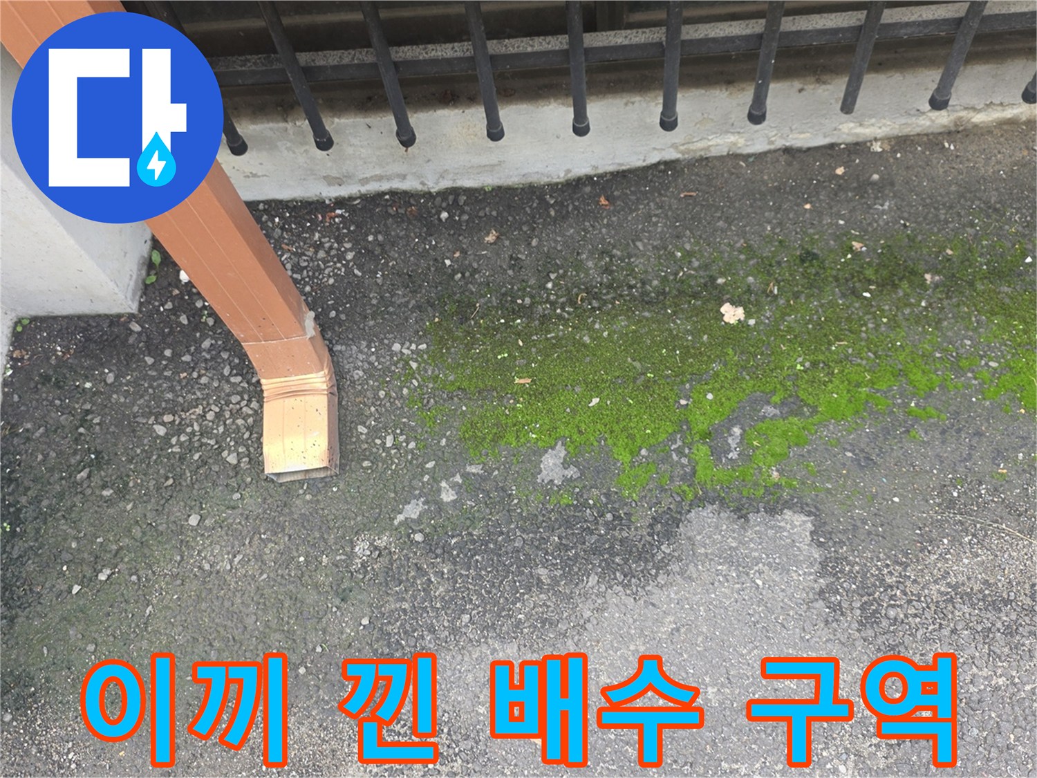 습한-환경으로-인해-이끼가-자라난-우수관-주변
