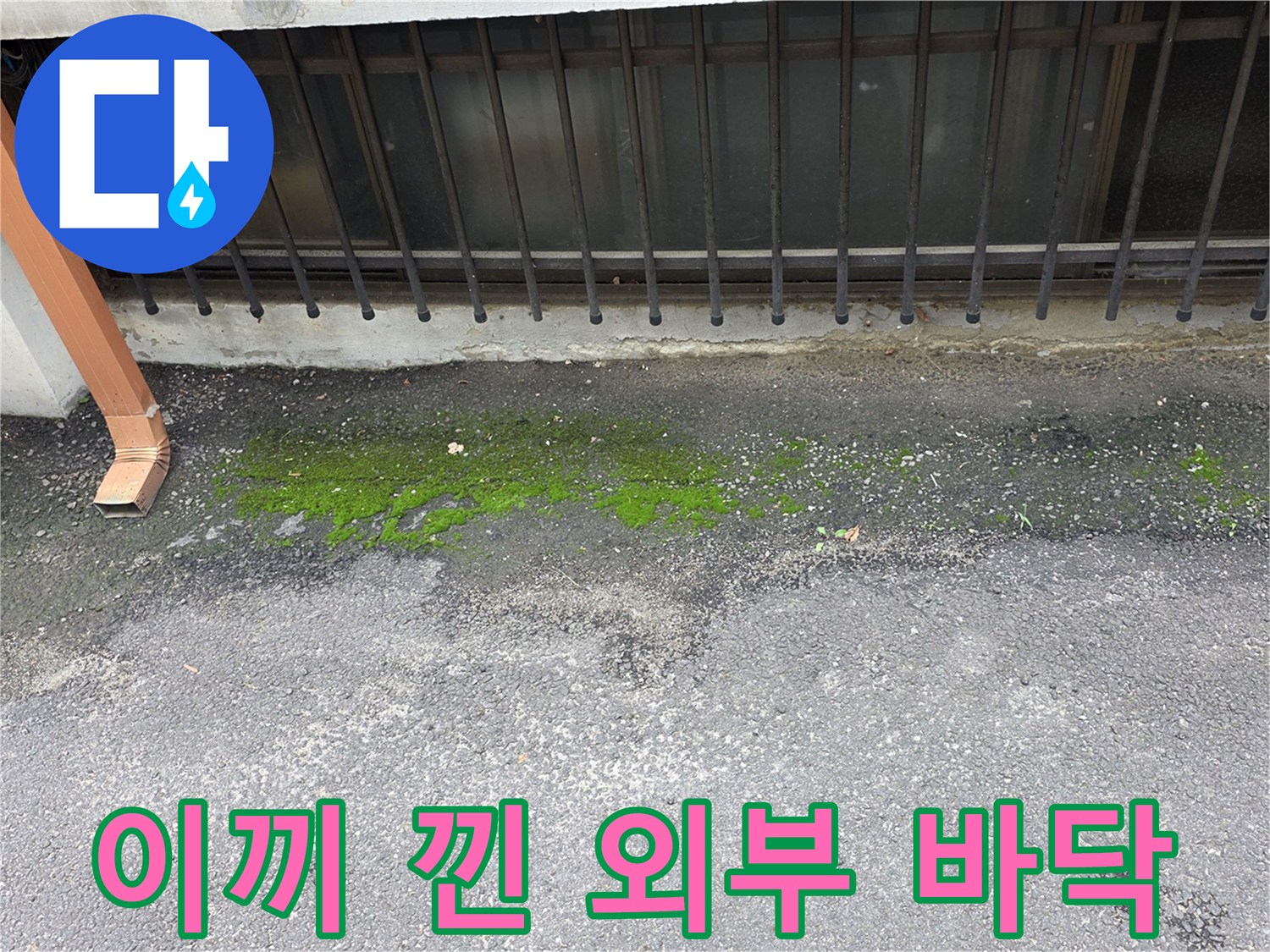 우수관 주변-이끼가 발생한 지면 상태