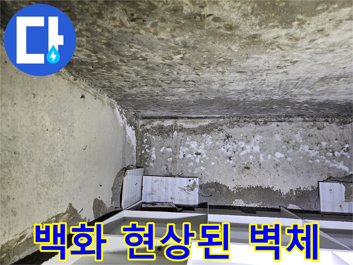 콘크리트-벽면에-발생한-하얀-백화현상-사진
