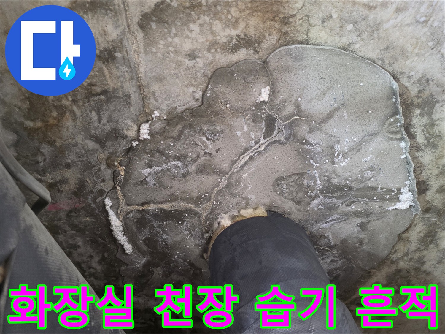 군포시-당동-아파트-화장실-천장-슬라브-습기-상태