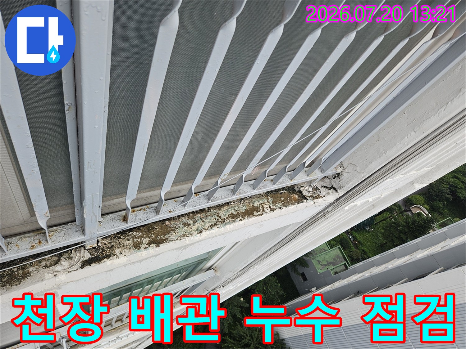 노출된 천장 내부의 배관과 젖어서 변색된 구조물 상태