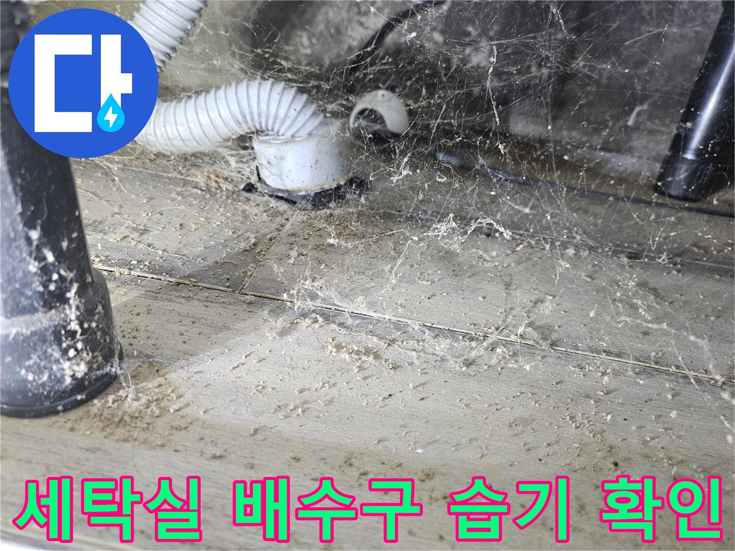 세탁기-배수호스-및-하수관-연결부-습기-상태