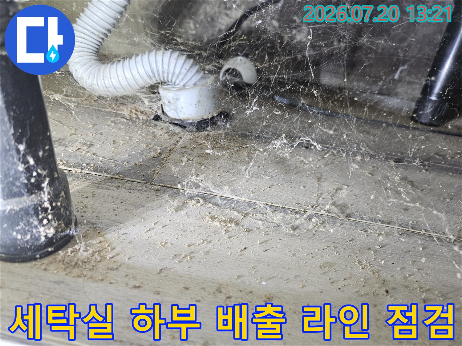 세탁물 배수가 이루어지는 트랩과 배출용 호스 연결 부위를 상세히 점검하는 사진