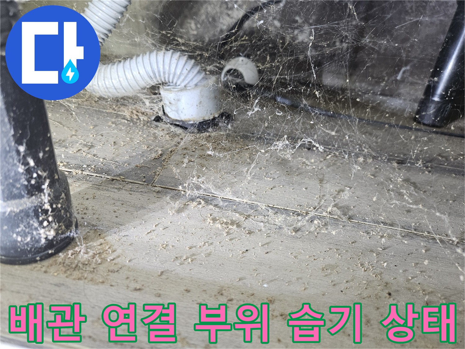 세탁실 배수 호스와 하수관이 만나는 지점의 오염된 모습입니다.