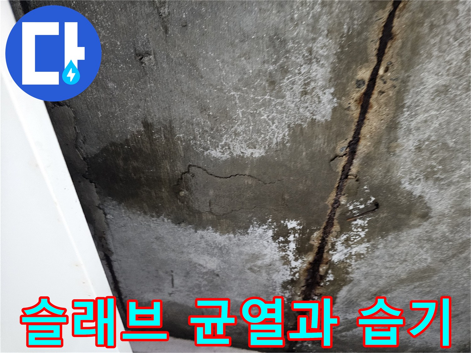 습기가-침투한-콘크리트-균열-부위