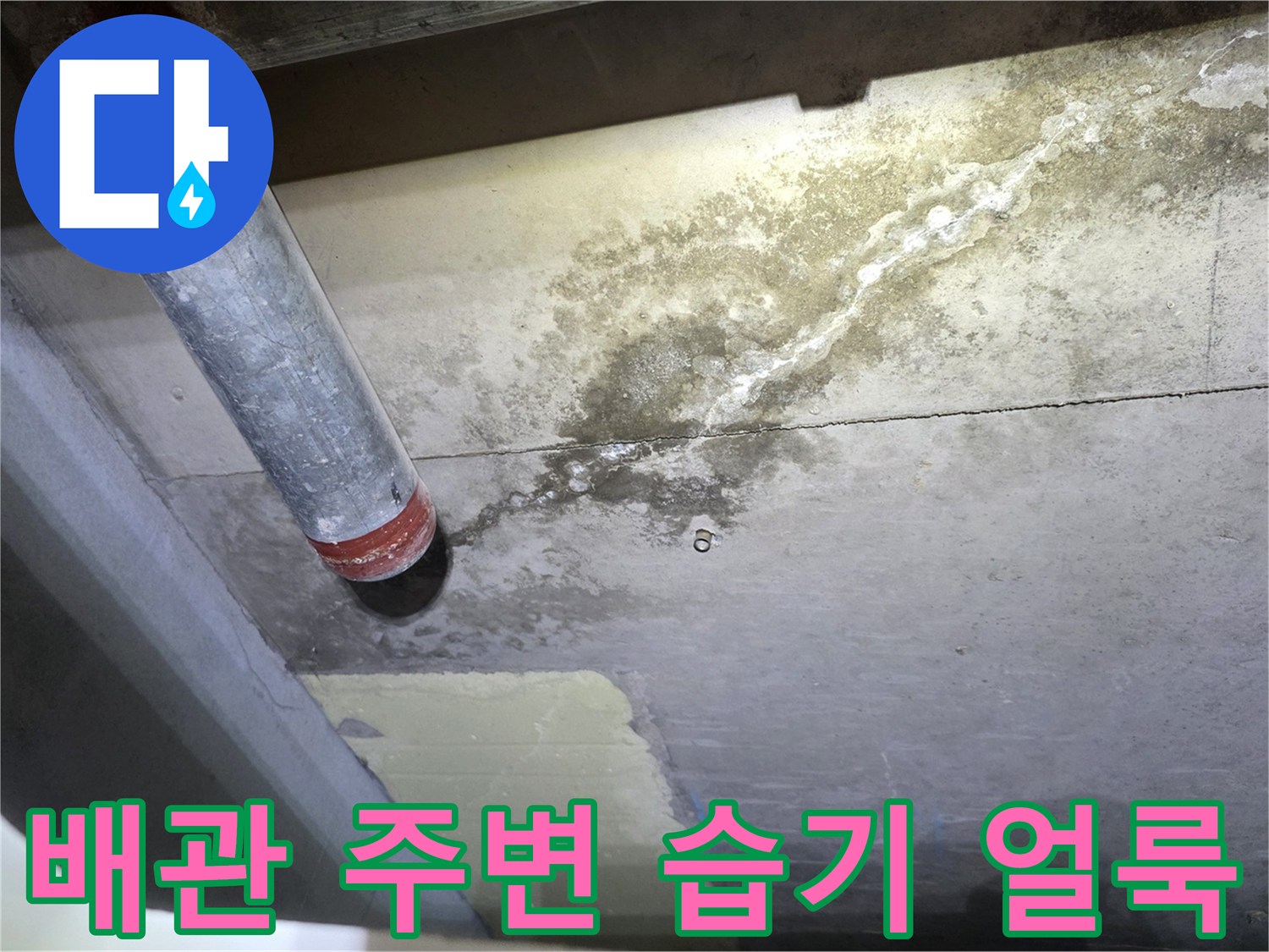 배관 근처 콘크리트의 습기 및 백화 현상 부위