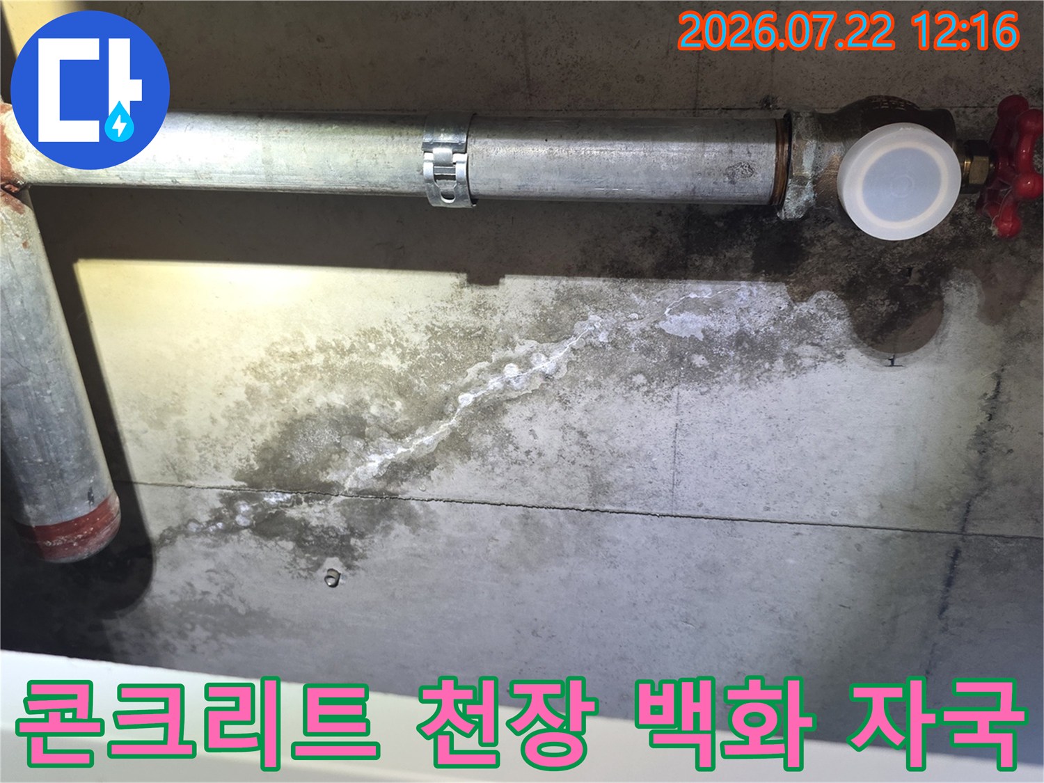 흰색 석회질이 맺힌 콘크리트 천장면과 그 위로 지나가는 금속제 배관 라인