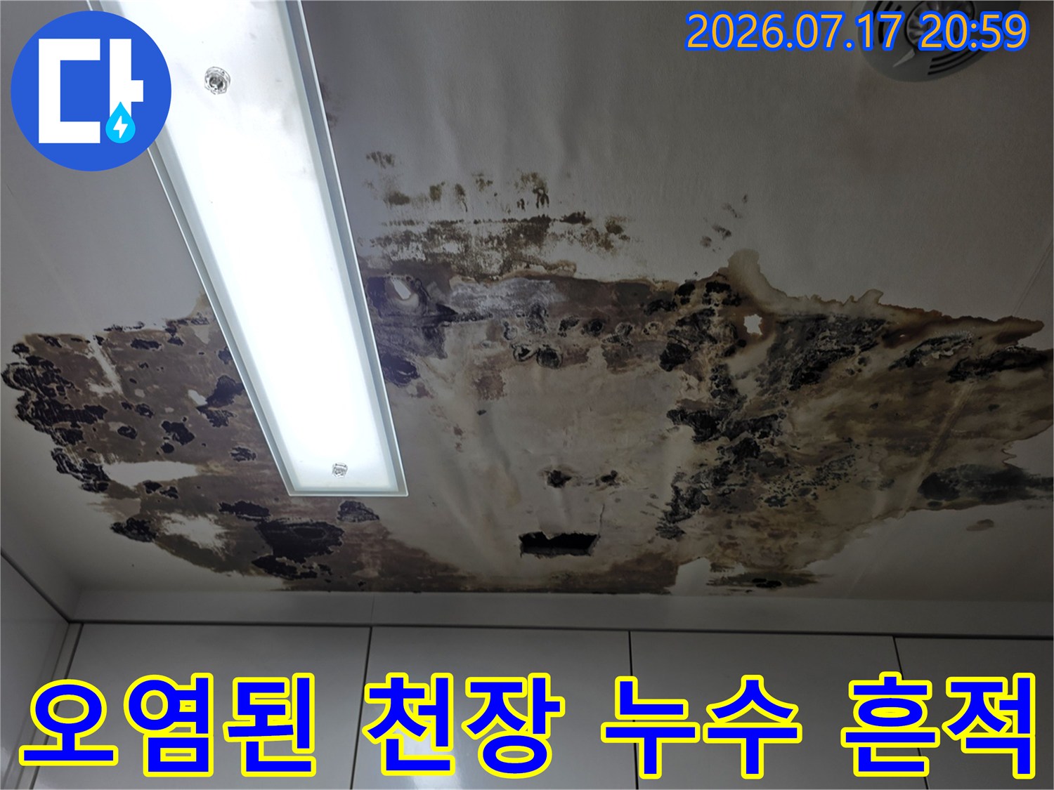 곰팡이와 습기로 오염된 아파트 천장 배수 시설물 부근의 모습