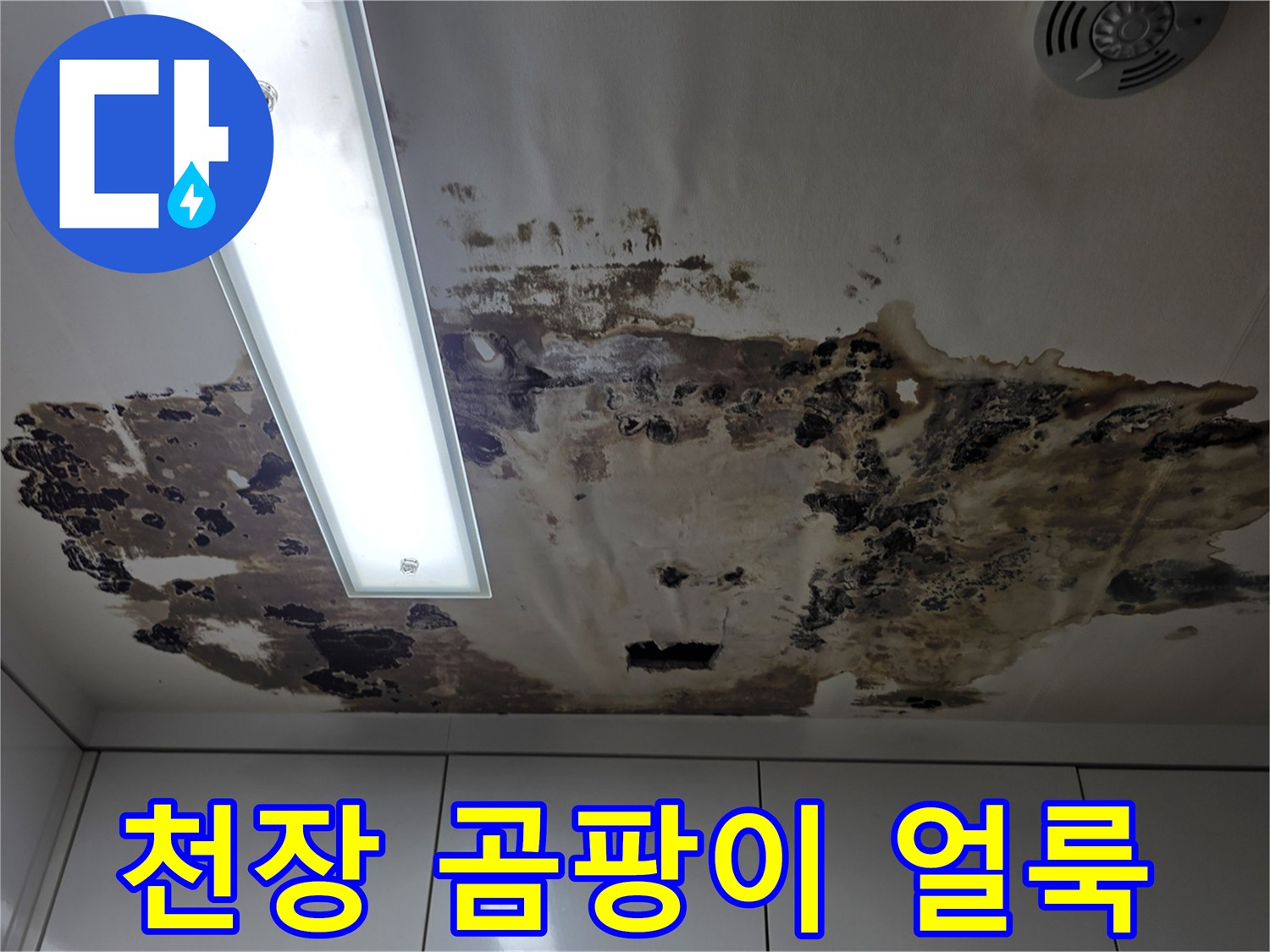 송파구 아파트 거실 천장의 심한 곰팡이와 누수 흔적