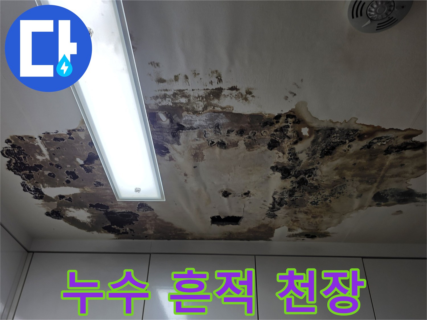 천장 조명 주변으로 번져 있는 누수 오염 부위