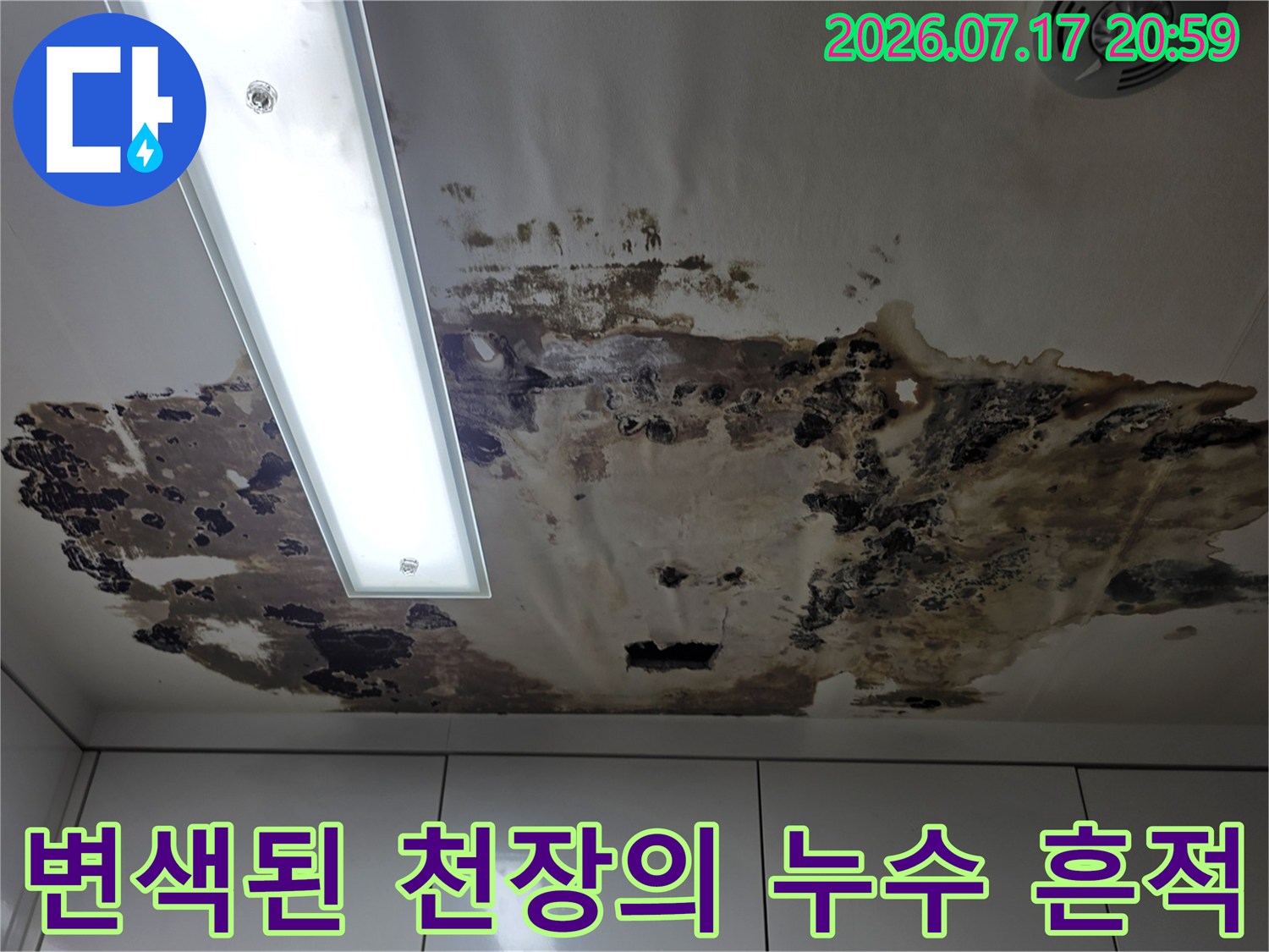 천장 조명 주변으로 번진 곰팡이와 물자국 현황