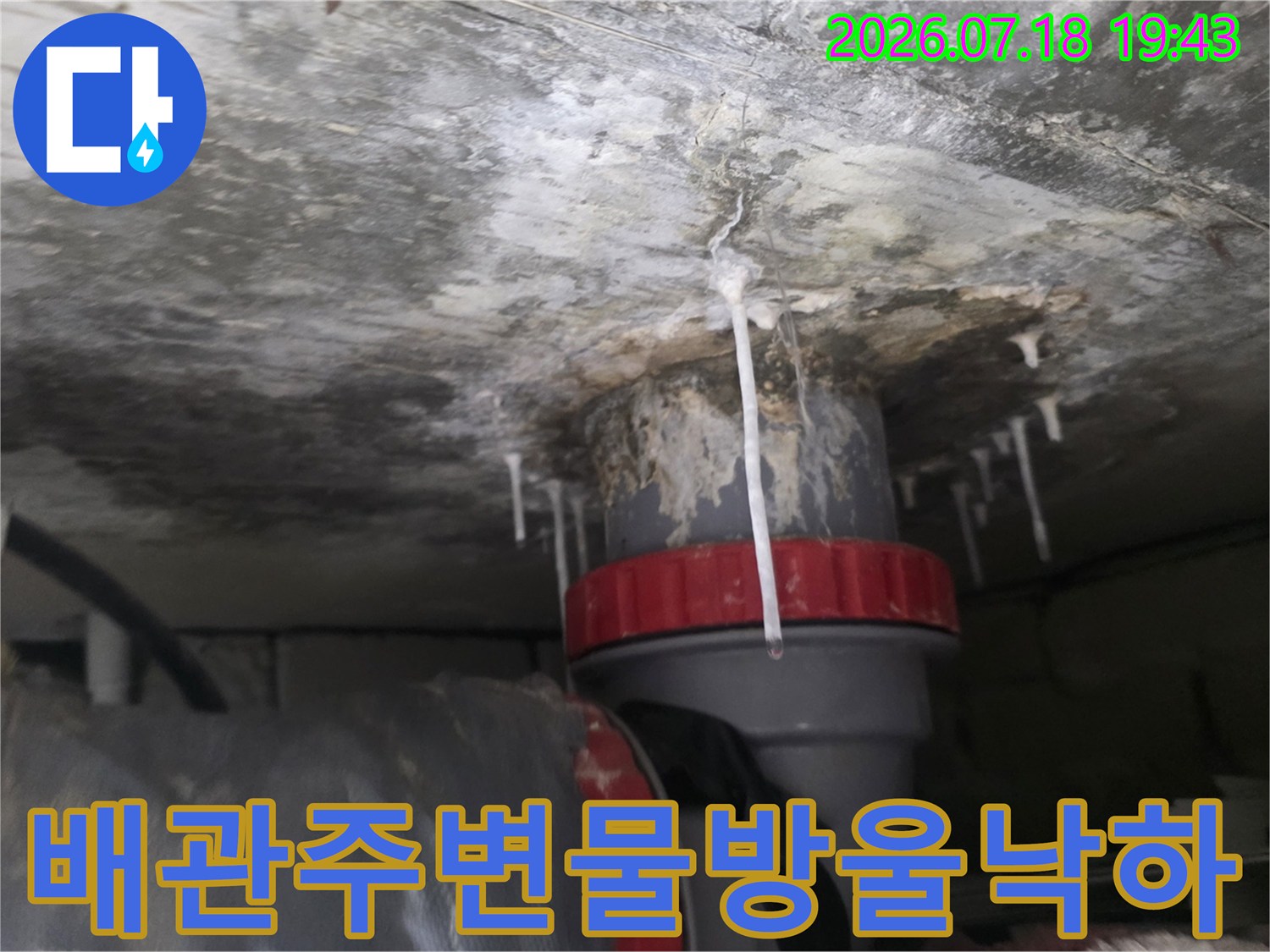 천장 배관 주변에 고여있는 물과 석회 성분이 섞인 누수 현장