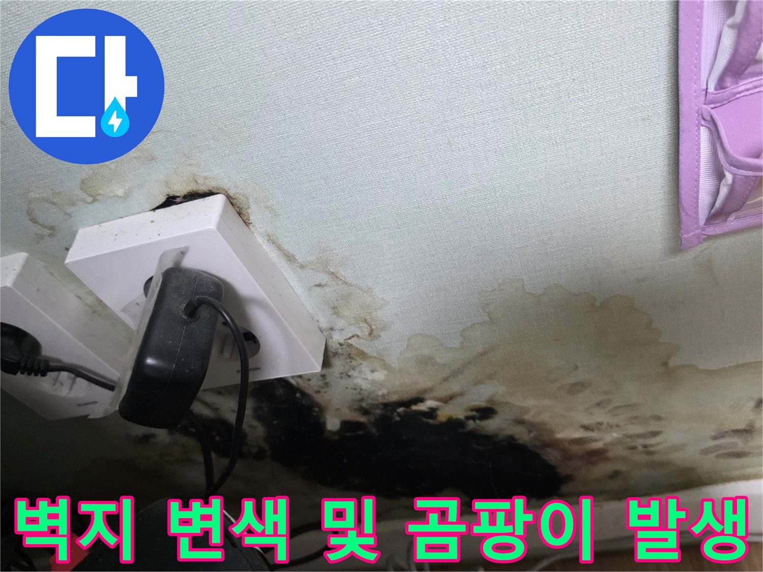 누수로 인해 오염된 벽지와 곰팡이가 피어오른 콘센트 주변부