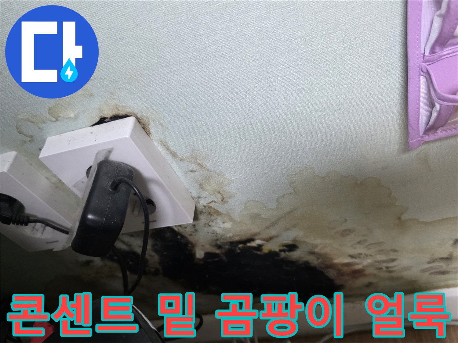벽면 하단부의 심한 물샘 흔적과 검은 곰팡이 발생