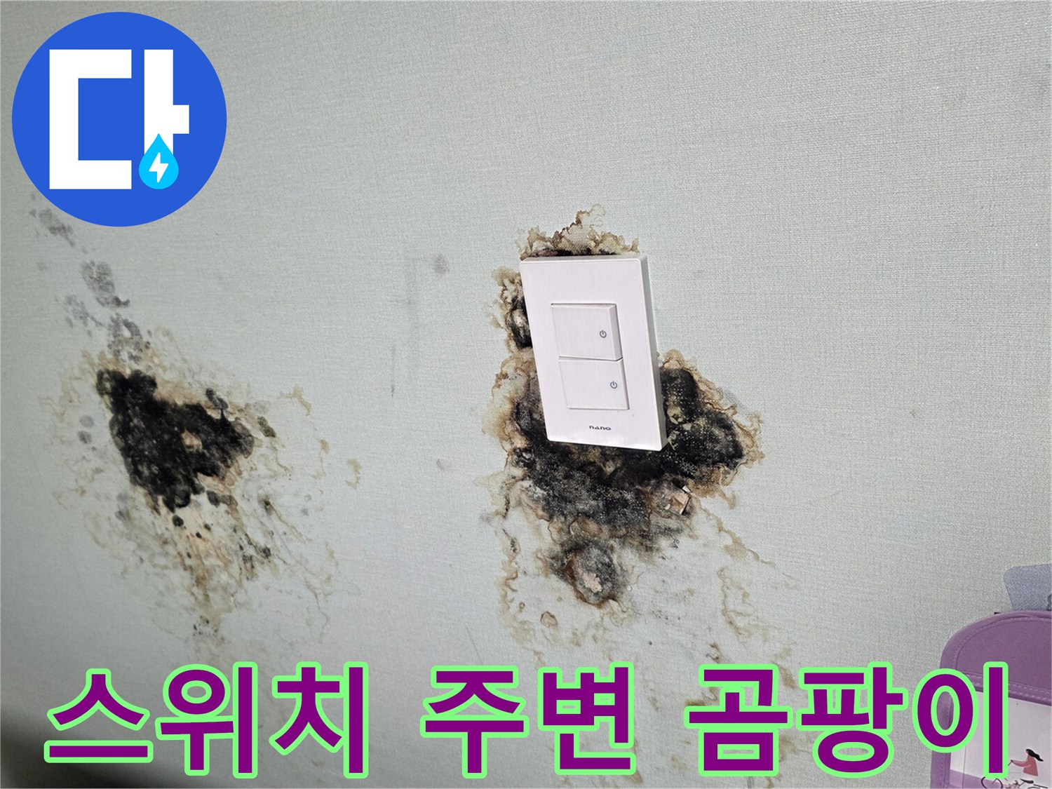 전등 스위치 주변으로 번진 심각한 곰팡이 오염 부위