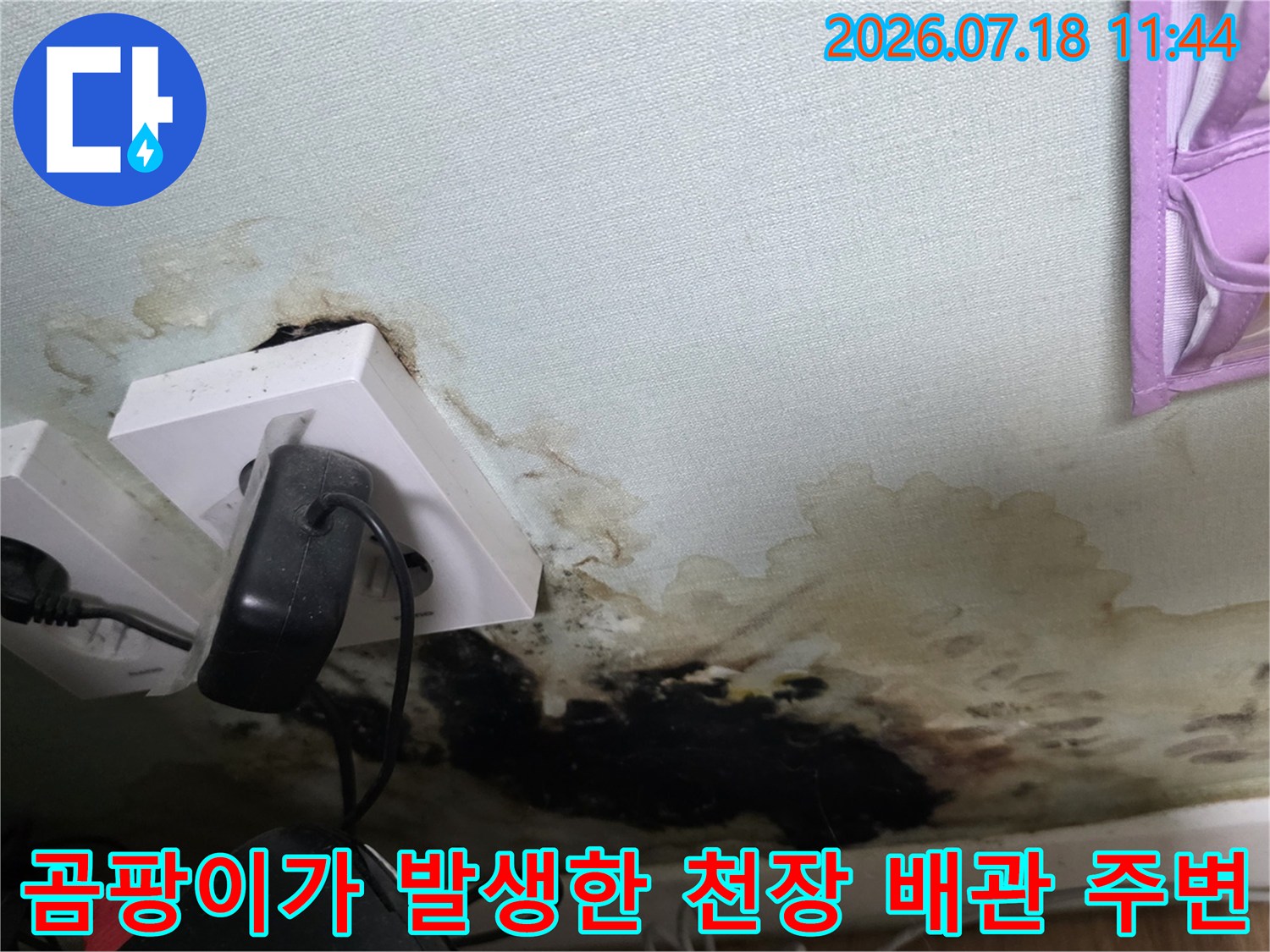 화장실 입구 천장에서 발견된 누수 징후와 오염된 마감재 현황