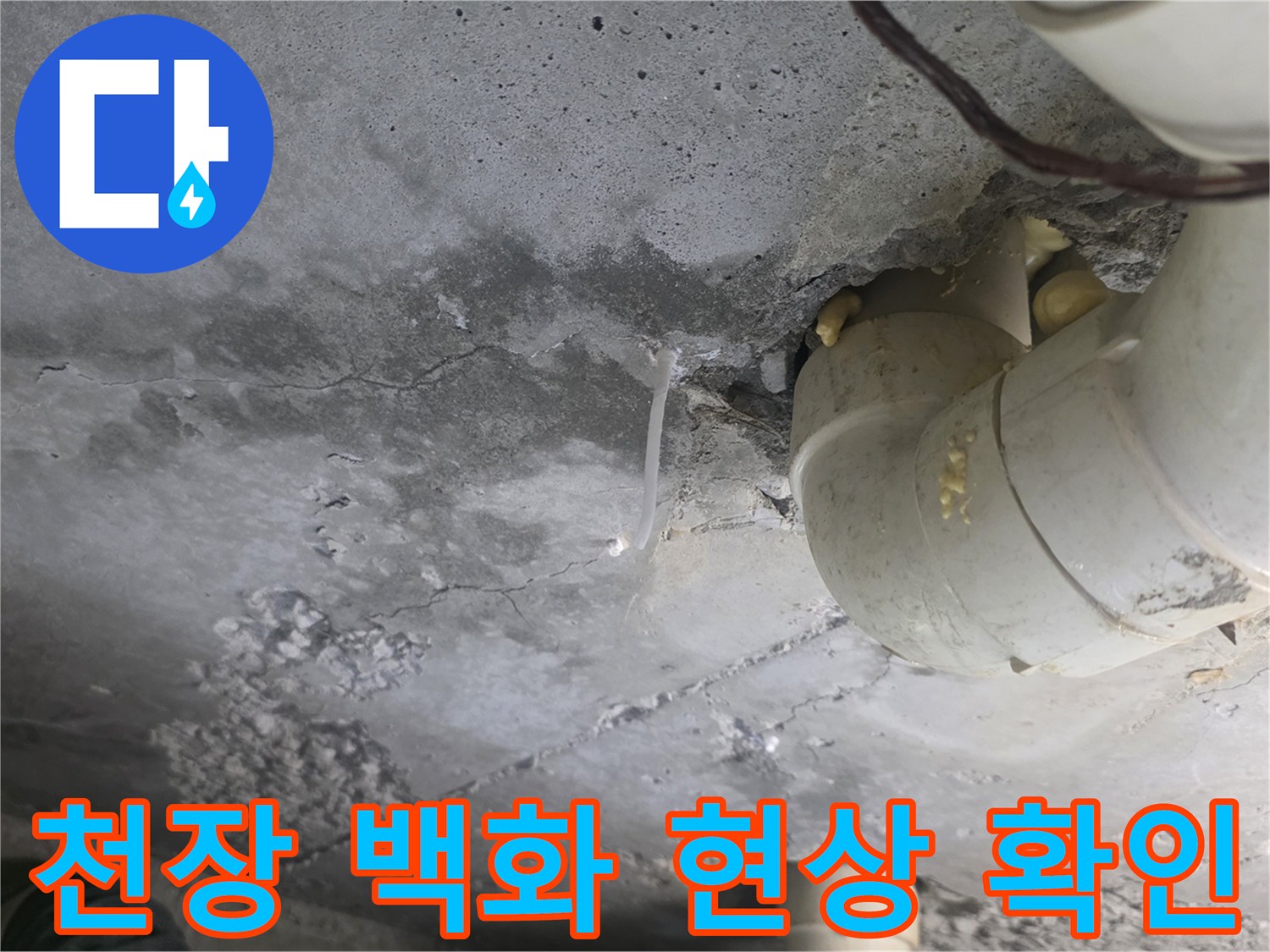 덕양구 화장실 천장 슬라브의 백화 현상과 배관 주변 습기 상태